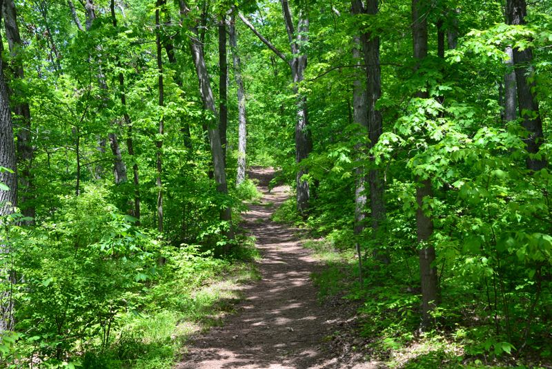 Broughton Nature Park Trails, Marietta Broughton Nature Park Trails, Marietta