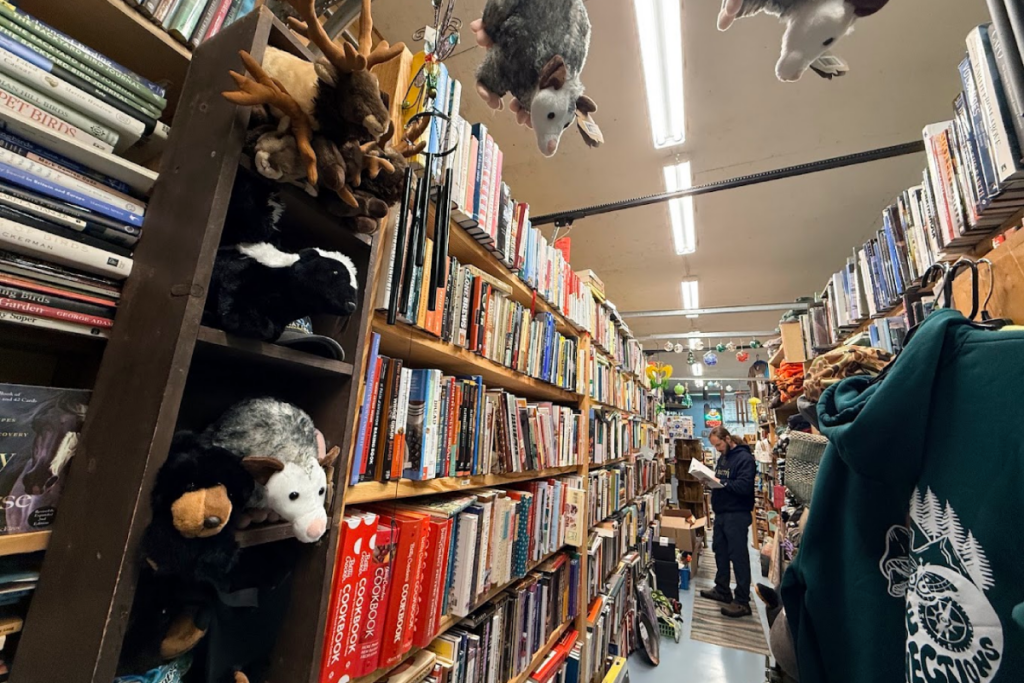 Browse Used Books With a Coffee in Hand at This Cozy Tennessee Gem