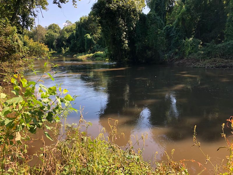 Buffalo Bayou Views That Feel Like a Vacation