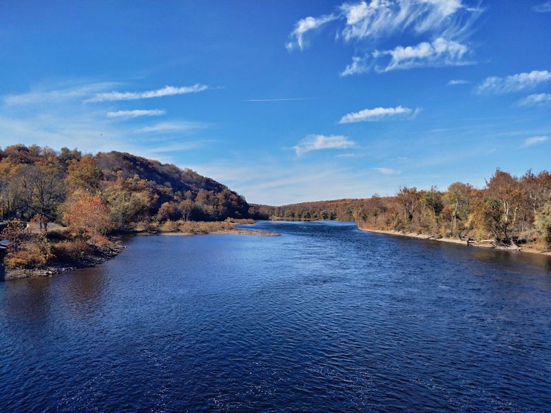 Bulls Island Bulls Island