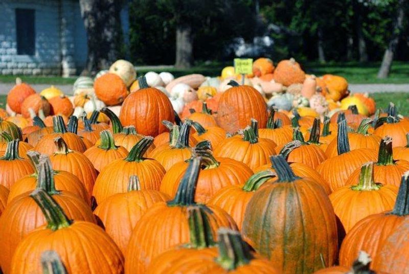 Burwinkel Farms in Ross Burwinkel Farms in Ross
