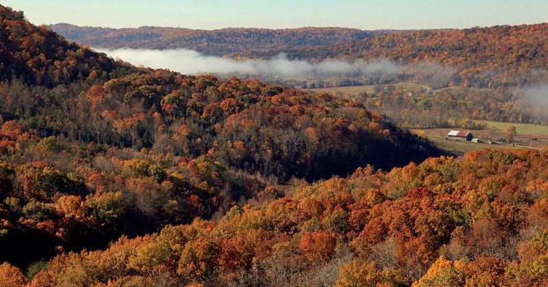 Buzzardroost Rock Overlook, West Union Buzzardroost Rock Overlook, West Union