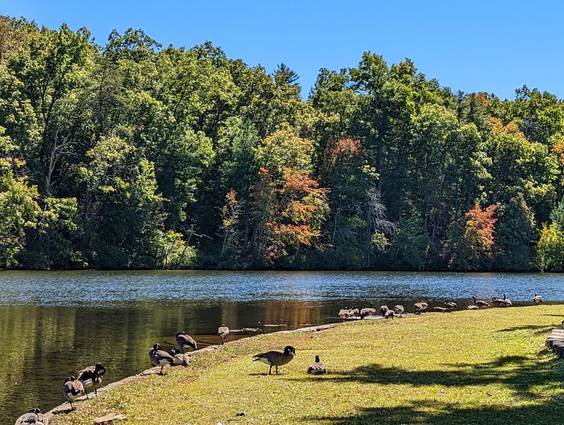 Byrd Lake Trail, Crossville