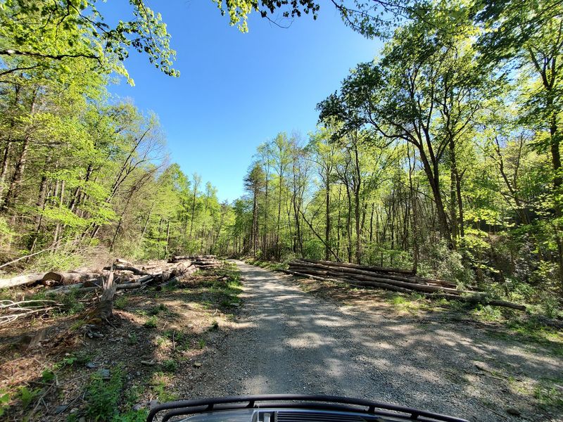 Cades Cove Loop Road, Great Smoky Mountains Cades Cove Loop Road, Great Smoky Mountains