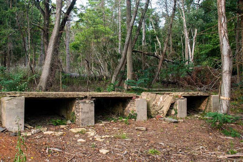 Camp Michaux Ruins, Michaux State Forest Camp Michaux Ruins, Michaux State Forest