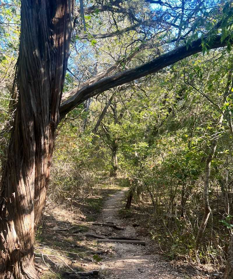 Camping Here Connects You to Texas's Conservation Roots