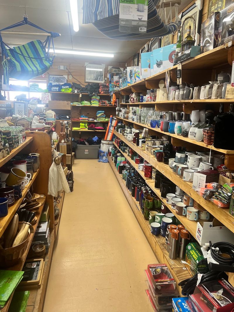 Camping Supplies For The Trip You Almost Packed For Camping Supplies For The Trip You Almost Packed For
