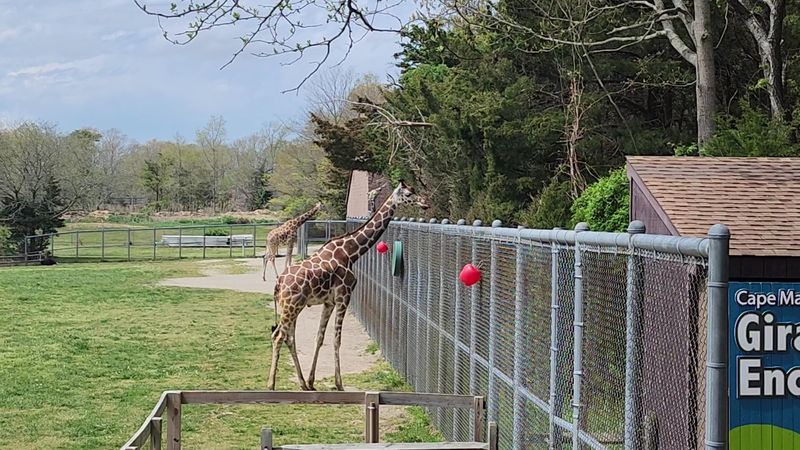 Cape May County Park & Zoo - Cape May Court House