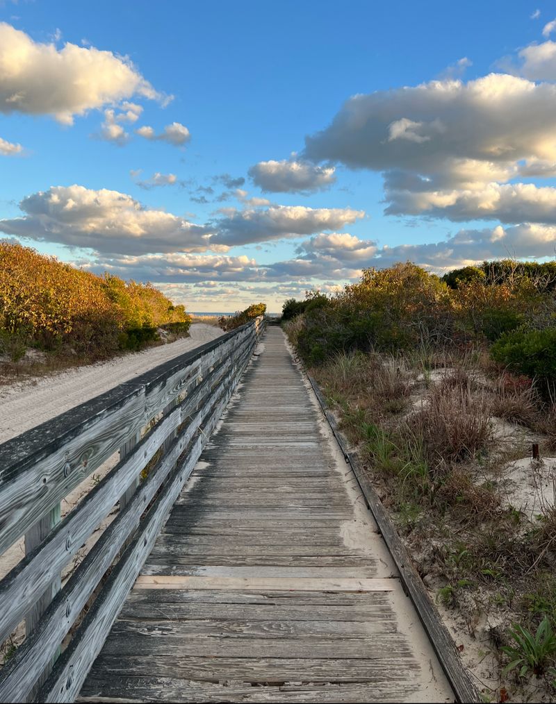 Cape May National Wildlife Refuge - Cape May Court House