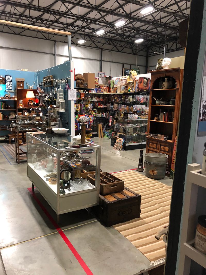 Carnival of Collectables - Sicklerville Carnival of Collectables - Sicklerville