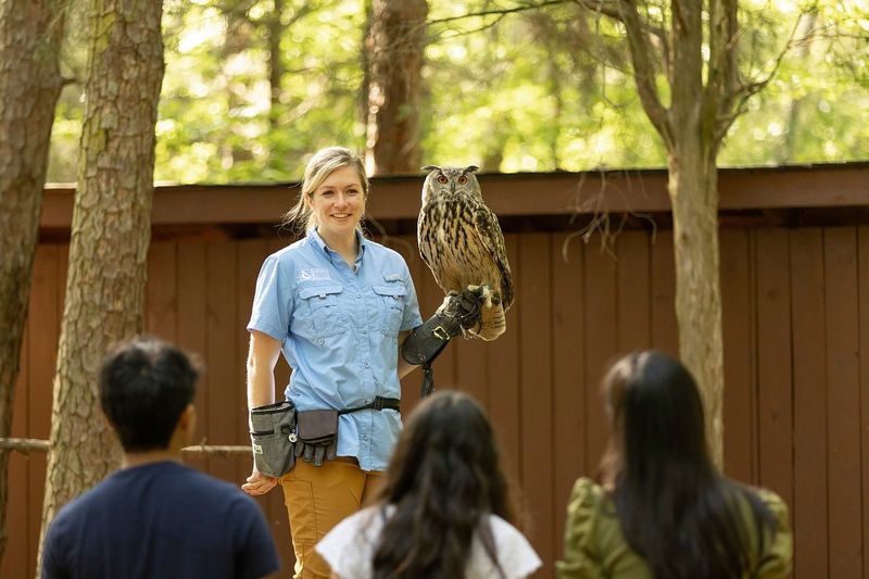 Carolina Raptor Center - Huntersville Carolina Raptor Center - Huntersville