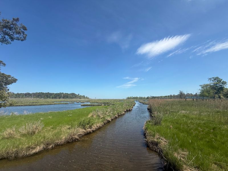 Cattus Island Trails and the Cooper Environmental Center Cattus Island Trails and the Cooper Environmental Center