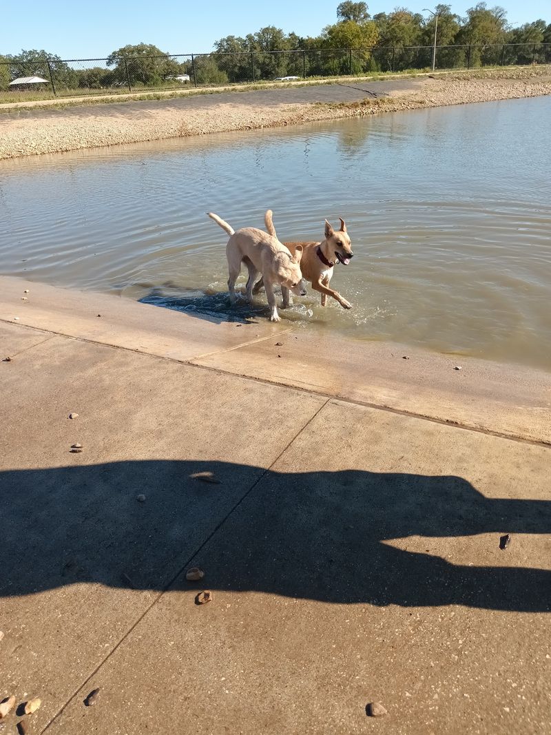 Cedar Bark Park (Cedar Park) Cedar Bark Park (Cedar Park)