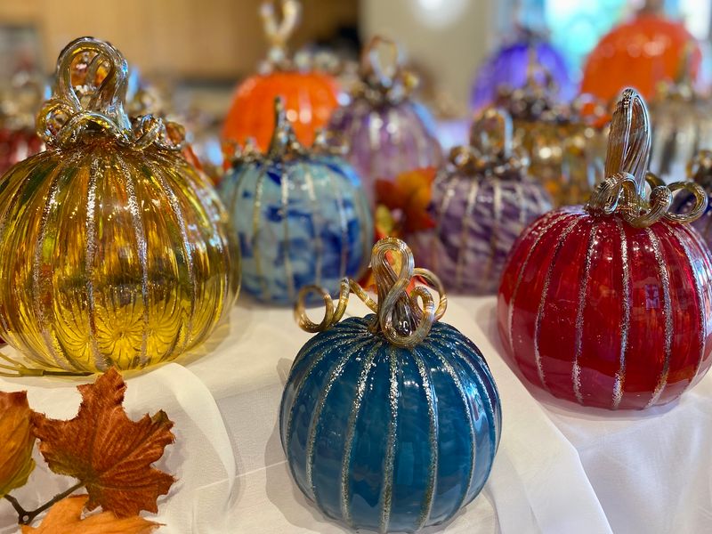 Celebrate Special Occasions at the Annual Pumpkin Patch Festival Celebrate Special Occasions at the Annual Pumpkin Patch Festival