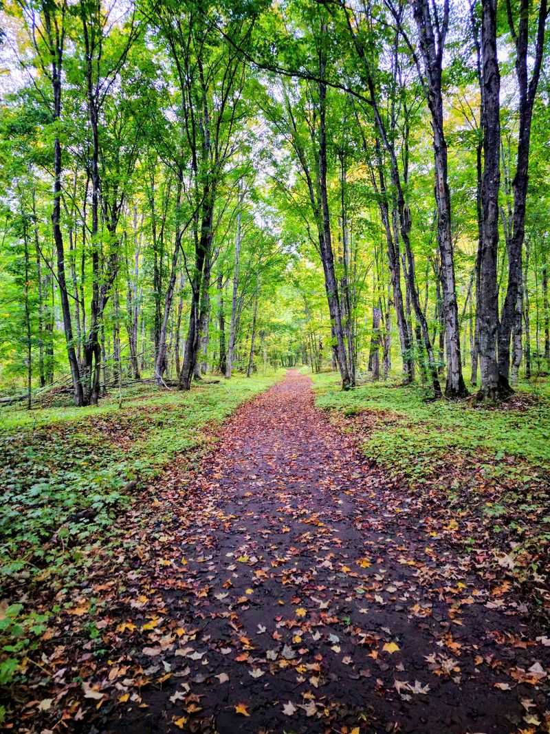 Chapel Loop - Pictured Rocks National Lakeshore Chapel Loop - Pictured Rocks National Lakeshore