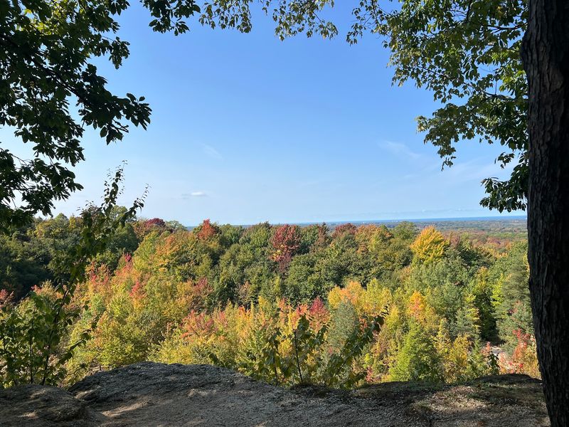 Chapin Forest Reservation in Kirtland, Lake County Chapin Forest Reservation in Kirtland, Lake County