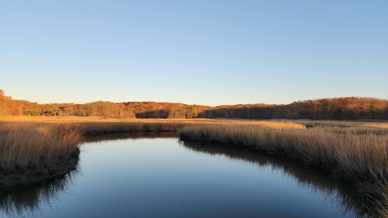 Cheesequake State Park: Two Landscapes Collide