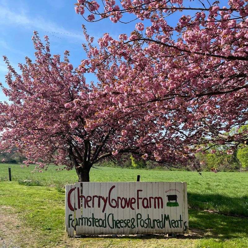 Cherry Grove Farm, Lawrenceville
