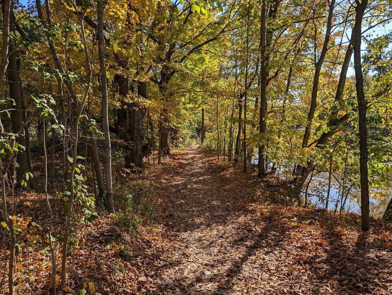 Chippewa Nature Center Trails - Midland