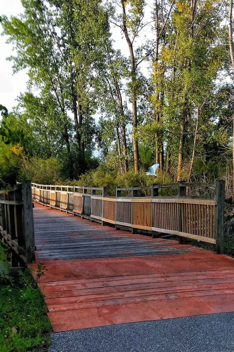 Chippewa Trail - Midland Chippewa Trail - Midland
