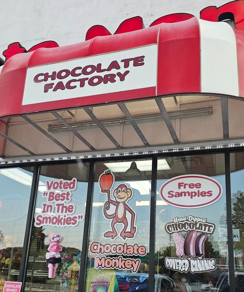 Chocolate Monkey in Pigeon Forge