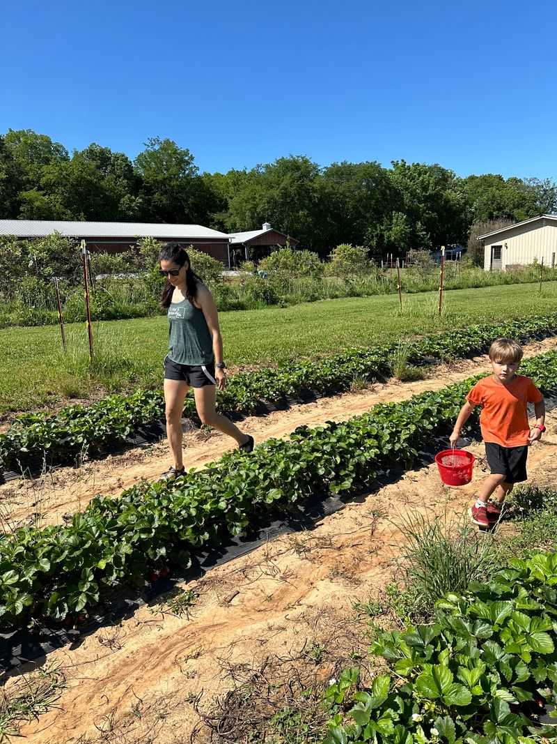 Circle S Farms – Lebanon Circle S Farms – Lebanon