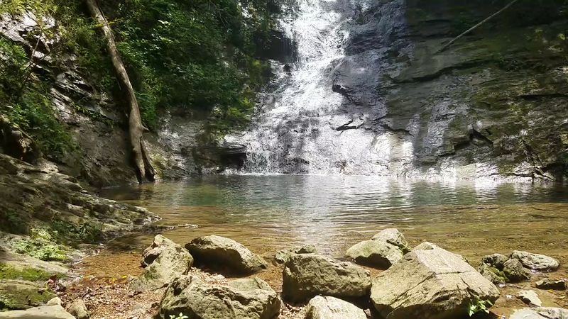 Clear Pools and Shaded Forest Give the Area a Peaceful Feel