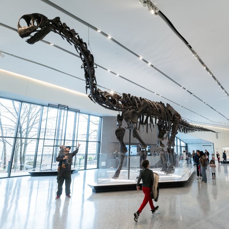 Cleveland Museum of Natural History Cleveland Museum of Natural History