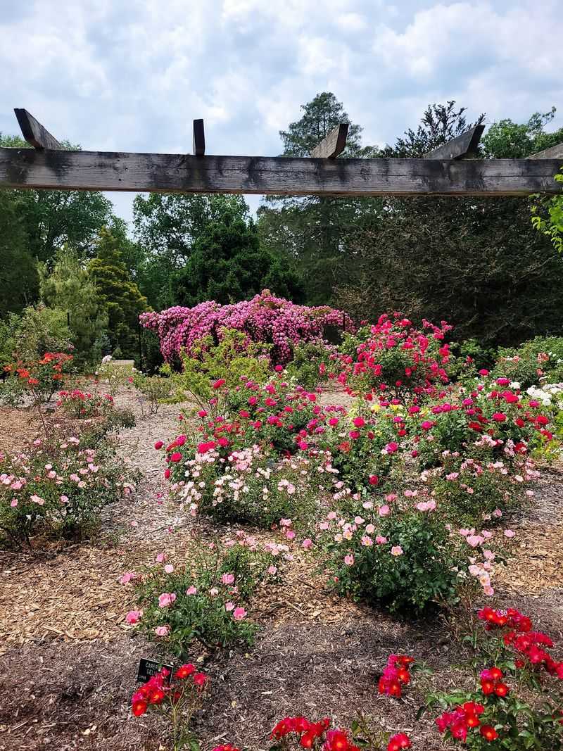 Colonial Park Gardens Hides a Colorful Escape in Somerset