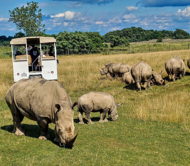 Conservation Gives The Visit Real Meaning Conservation Gives The Visit Real Meaning