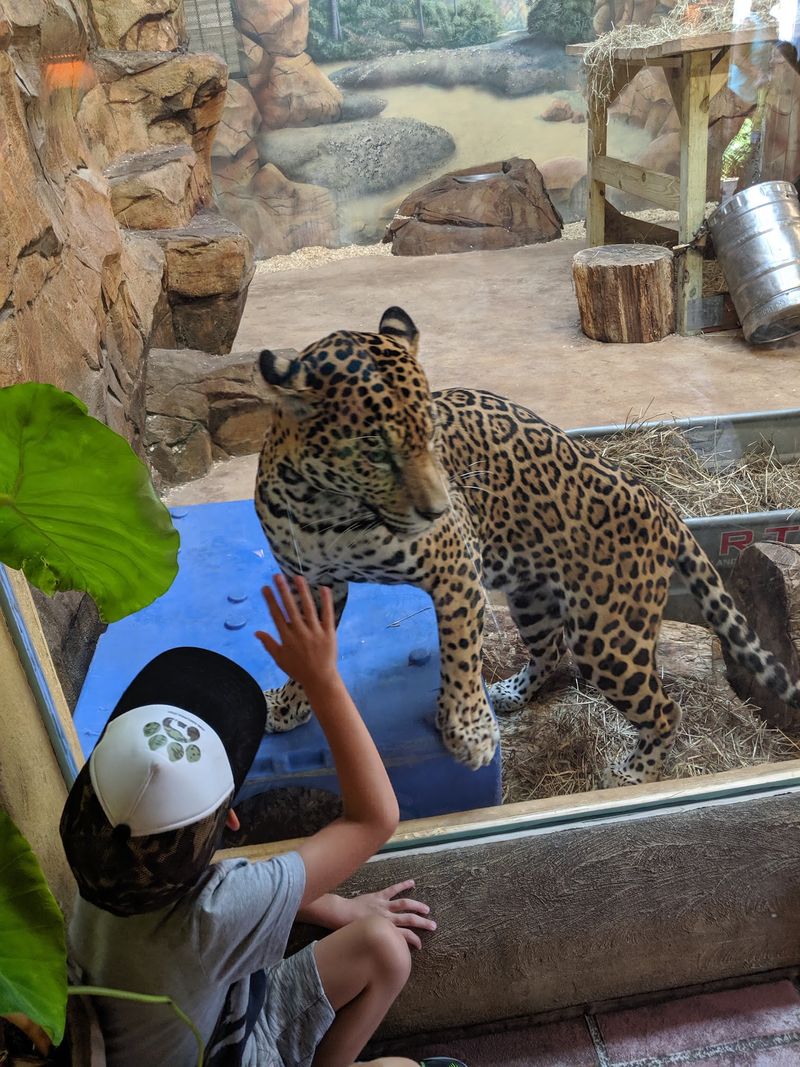 Cool Off With Indoor Exhibits And Mist Stations