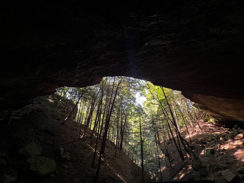 Cool Shade Makes Warm Days Easier Cool Shade Makes Warm Days Easier