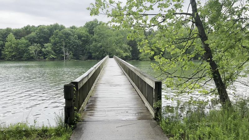 Couchville Lake Trail, Hermitage