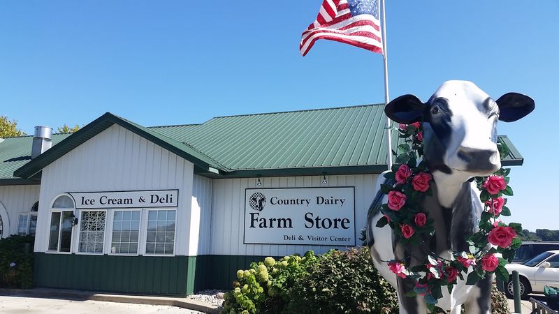 Country Dairy Farm Store - New Era Country Dairy Farm Store - New Era