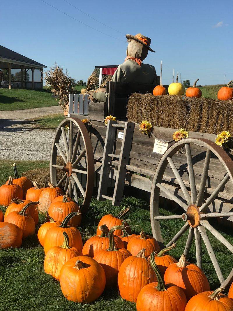 Country Treats That Steal the Show Country Treats That Steal the Show