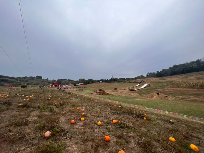 Country View Farm Pumpkin Patch and Corn Maze, Chuckey Country View Farm Pumpkin Patch and Corn Maze, Chuckey