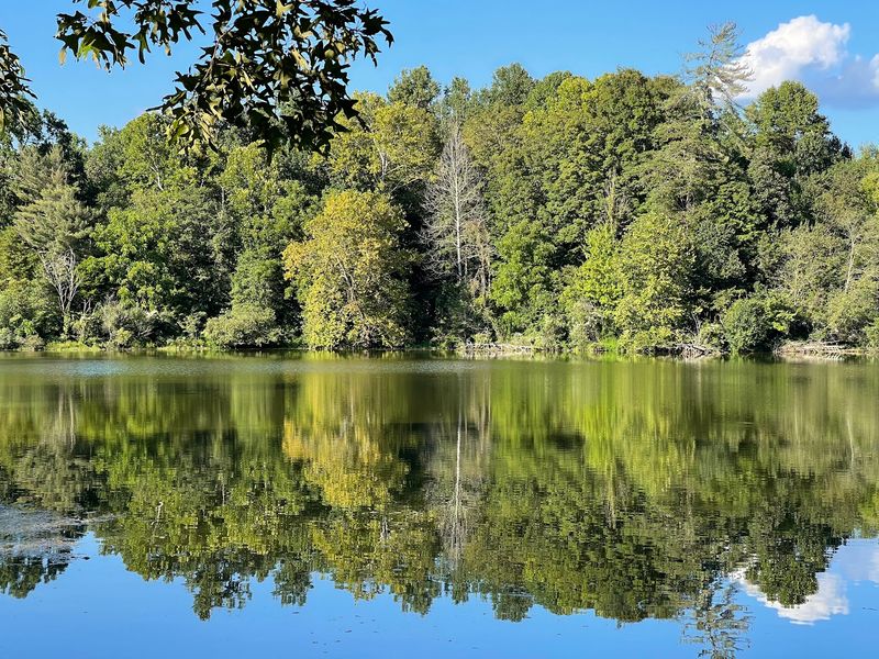 Cove Lake State Park - Caryville Cove Lake State Park - Caryville
