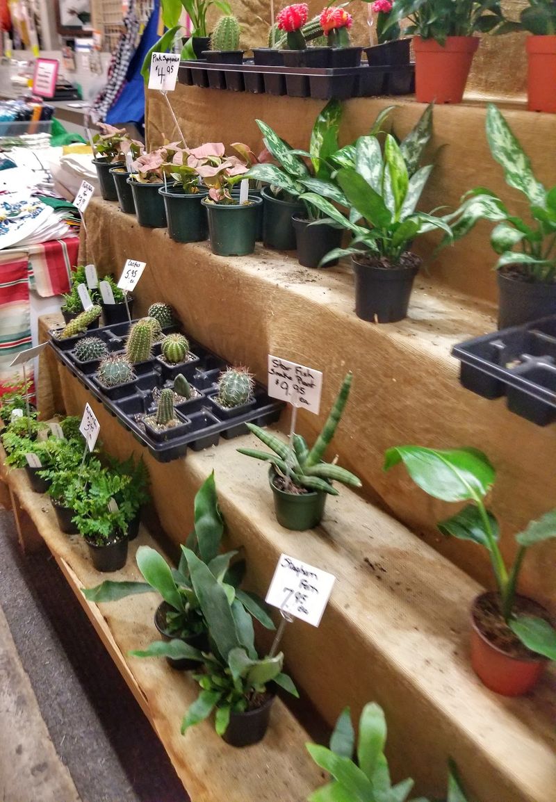 Crafts, Soaps, Plants, and Handmade Gifts Crafts, Soaps, Plants, and Handmade Gifts