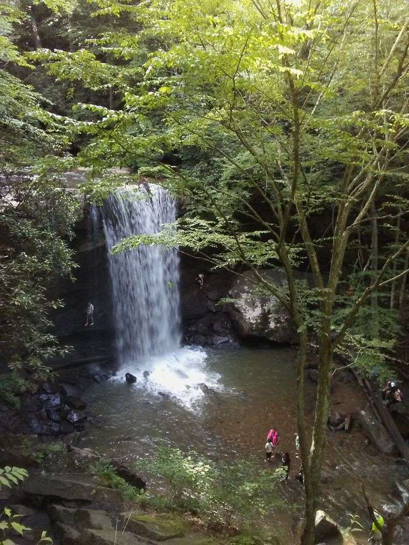 Cucumber Falls And A Fairytale Forest Stop