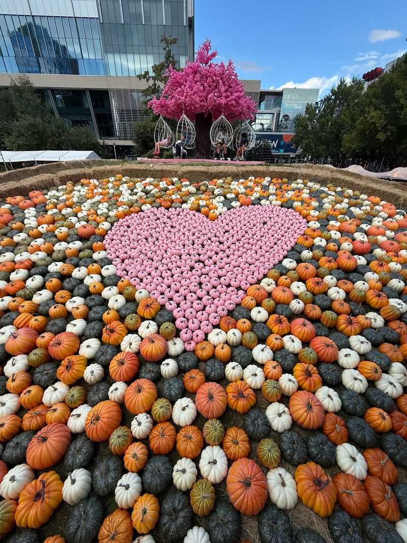 Cute Decor Creates Fall Magic Cute Decor Creates Fall Magic