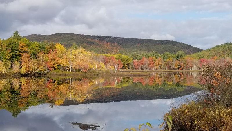 Cutler Lake Road, Philo Cutler Lake Road, Philo