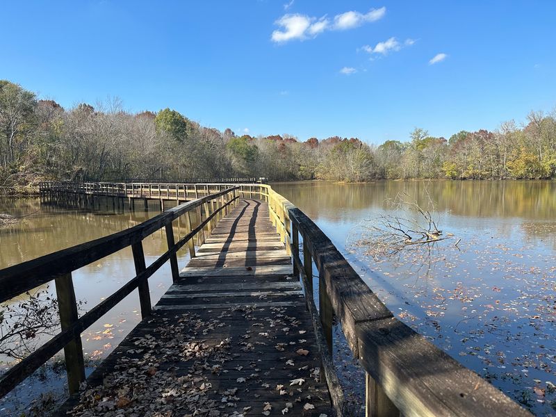 Cypress Grove Nature Park – Jackson