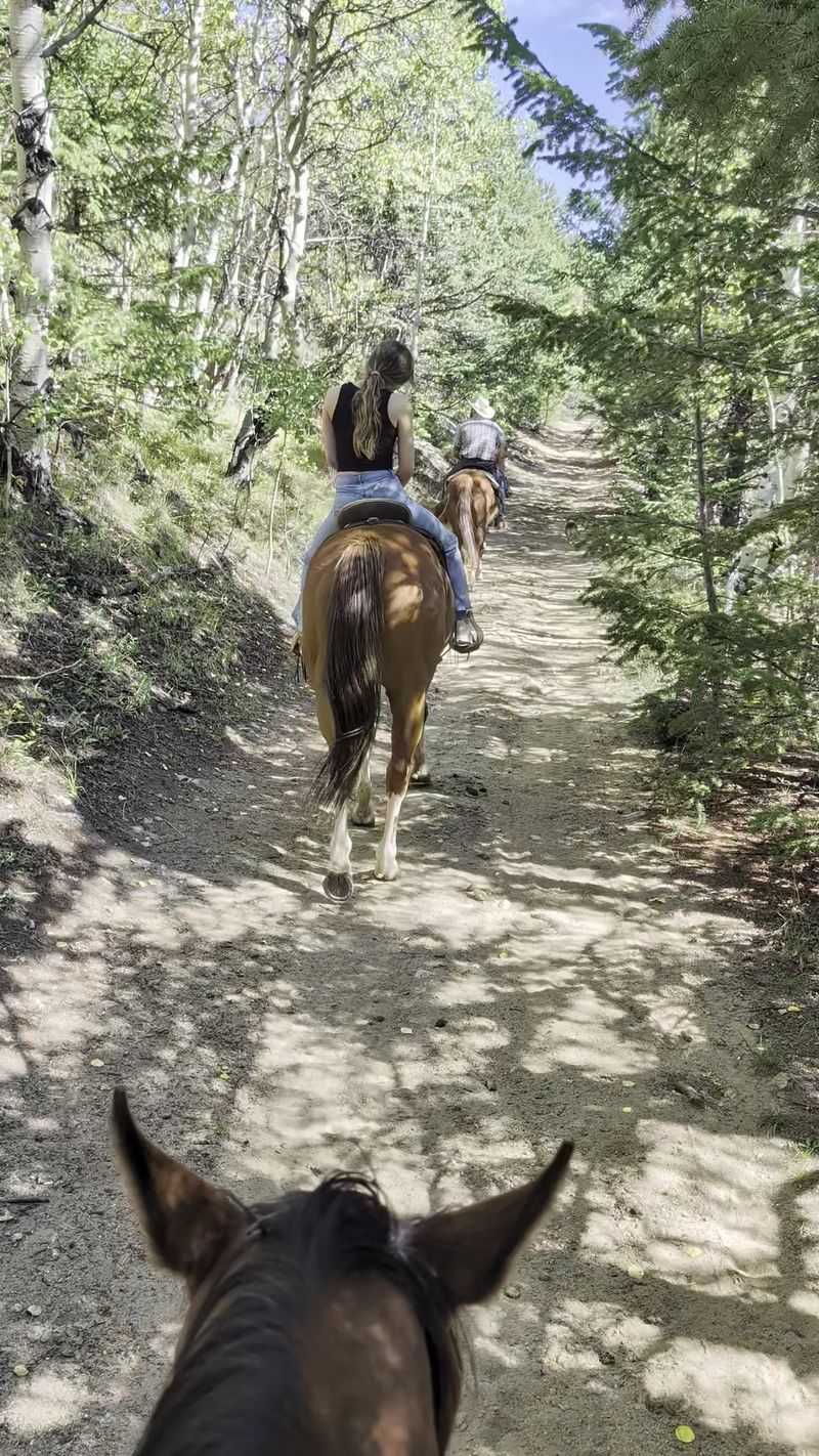 Choosing The Right Ride Length For Your Day Choosing The Right Ride Length For Your Day