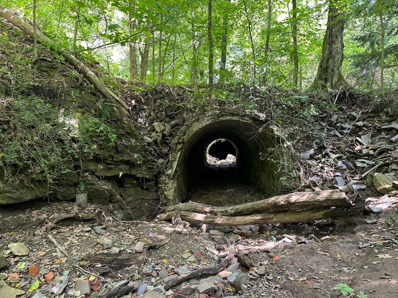 D*ad Man’s Hollow Industrial Ruins, Liberty Borough D*ad Man’s Hollow Industrial Ruins, Liberty Borough