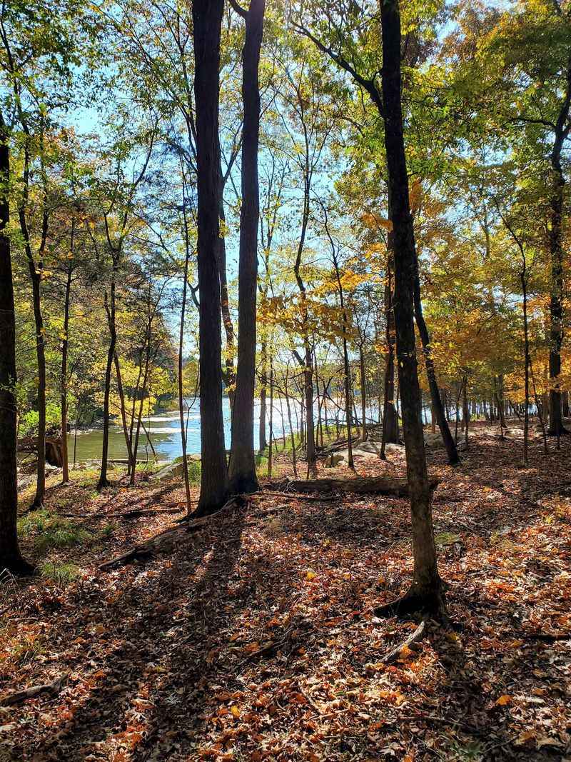Day Loop Trail at Long Hunter State Park