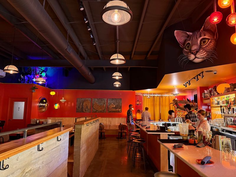 Decor That Feels Cool, Quirky, And Full Of Life