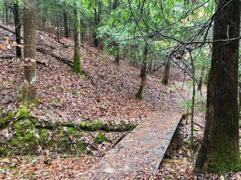 Deep Woods Escape at Clear Creek Metro Park Deep Woods Escape at Clear Creek Metro Park
