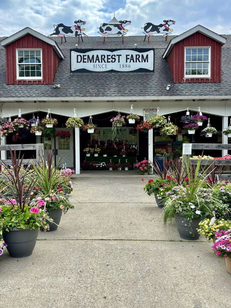 Demarest Farms Bakery - Hillsdale