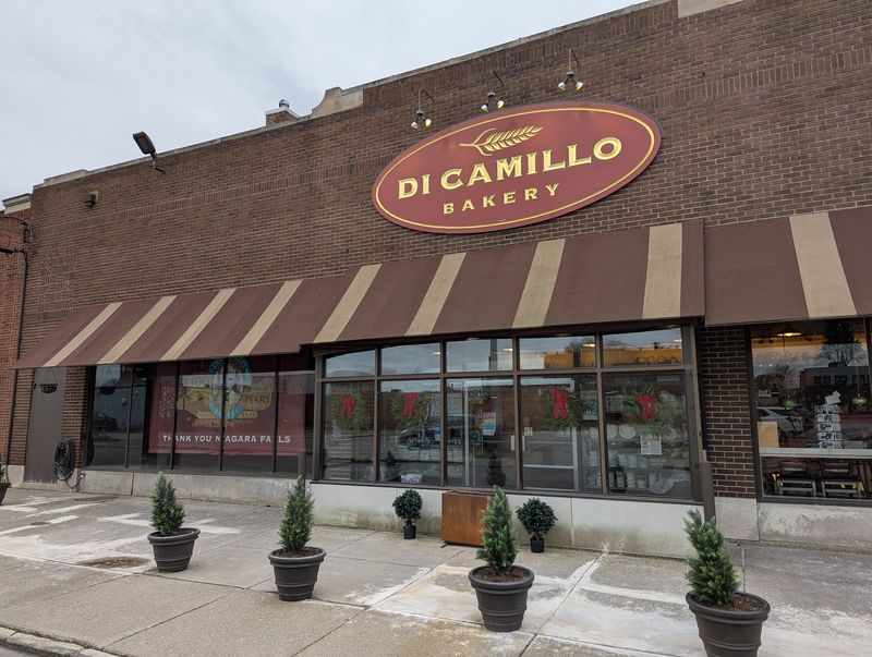 DiCamillo Bakery - Scaletta Bread and Signature Biscotti DiCamillo Bakery - Scaletta Bread and Signature Biscotti