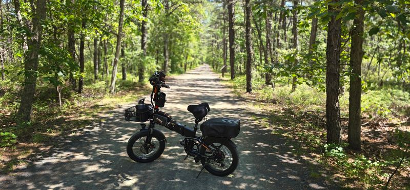 Discover Pine Barrens Railroad History on the Barnegat Branch Trail